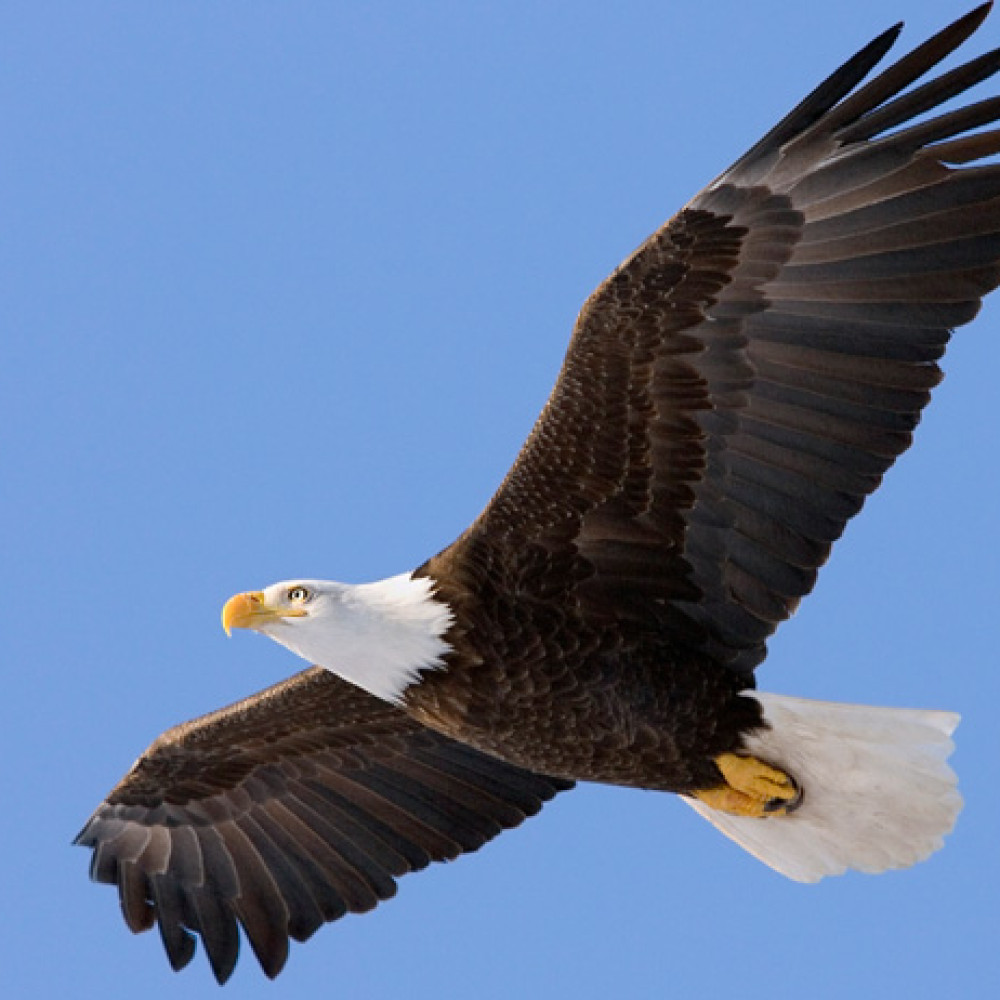 Imagen de post Los autos van muy rápido dentro del fraccionamiento